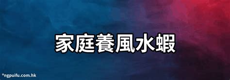 養三條金魚|【家庭養風水蝦】